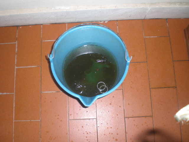 [Immagine: 2012115121847_CIMG0028.JPG]